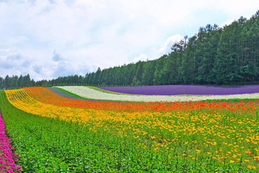Downtown　Toko11 Villa Asahikawa Dış mekan fotoğraf